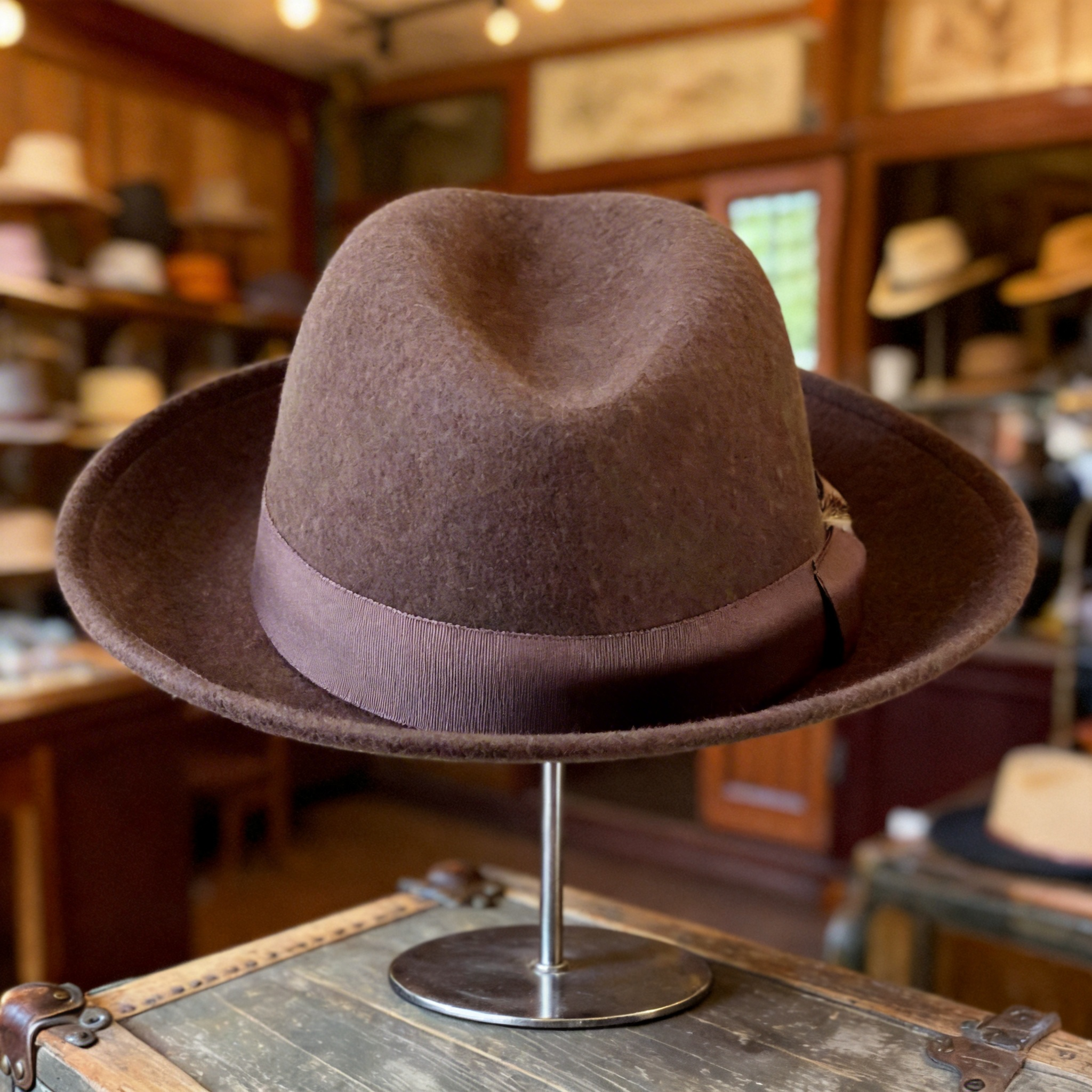 Brown Fedora – Feather & Trim Accent