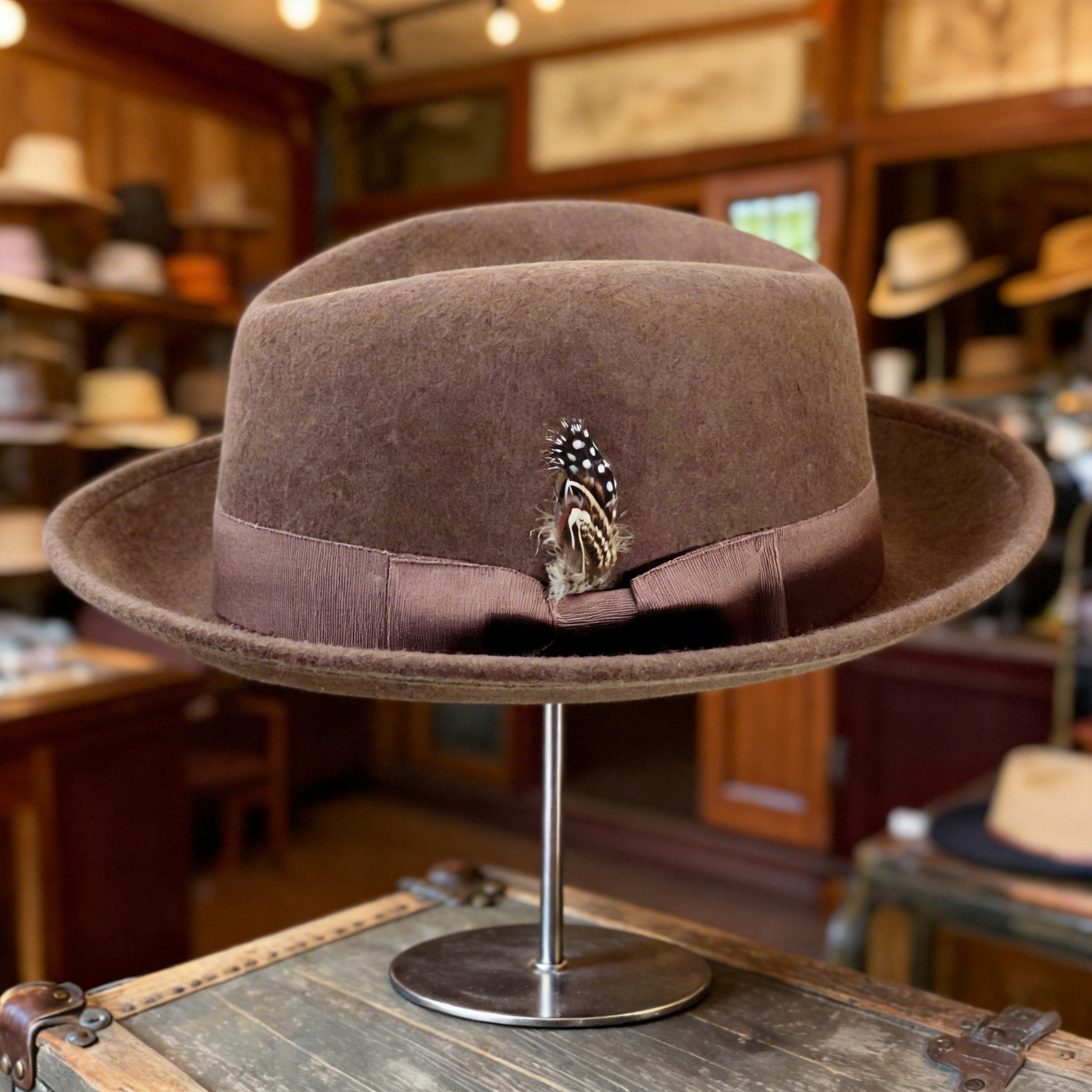 Brown Fedora – Feather & Trim Accent