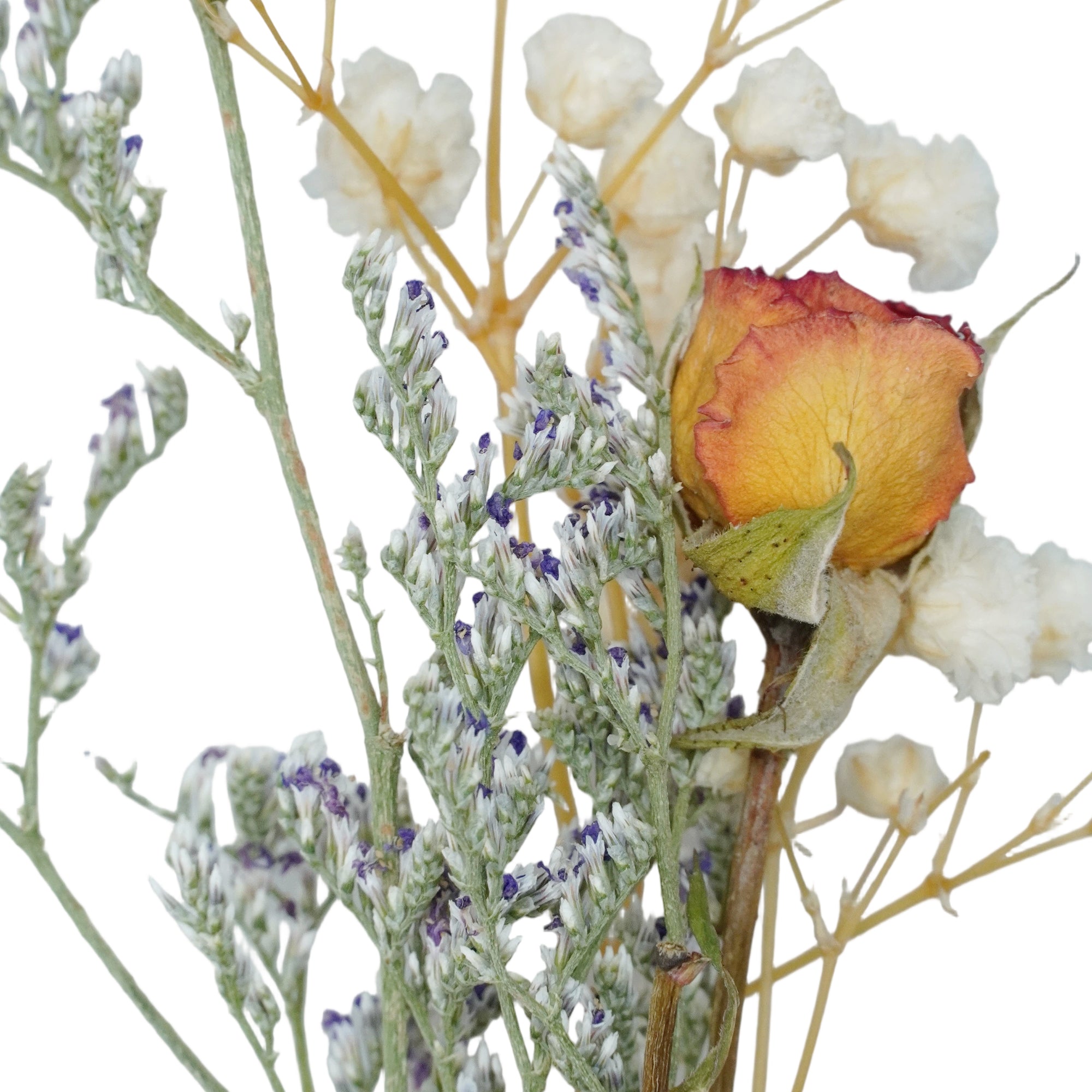 Clover | Rose Bud Hat Band