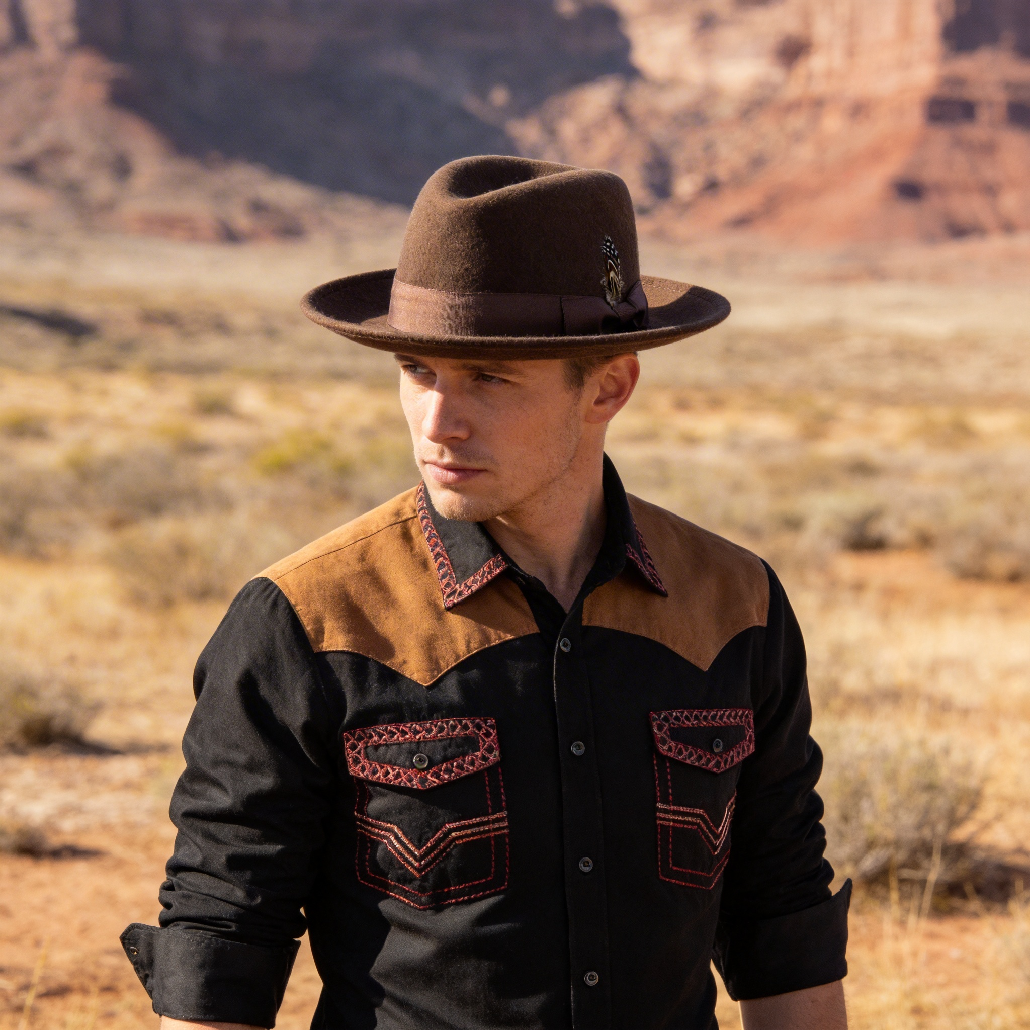 Brown Fedora – Feather & Trim Accent