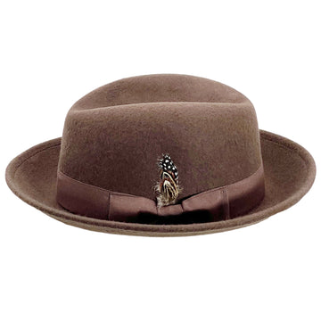 Brown Fedora – Feather & Trim Accent