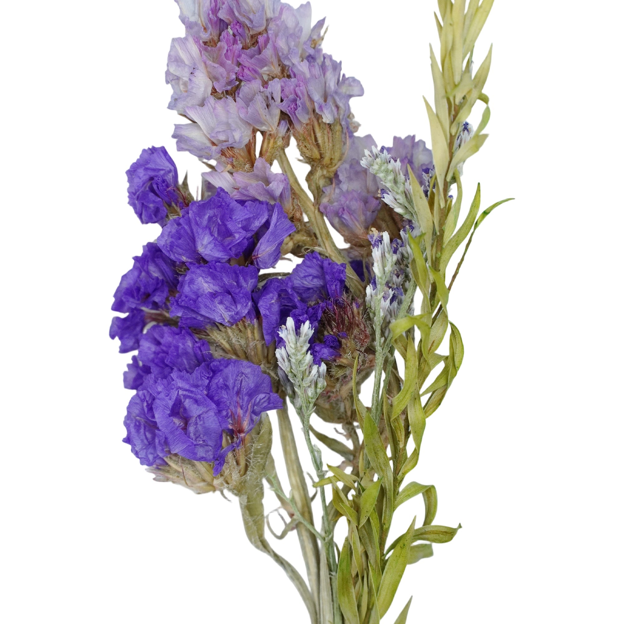 Ivy | Natural Dried Flower Band