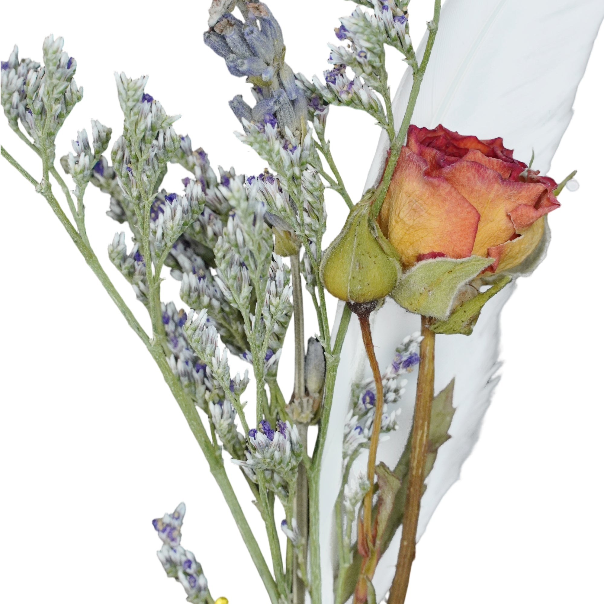Birch | Feather & Floral Wrap