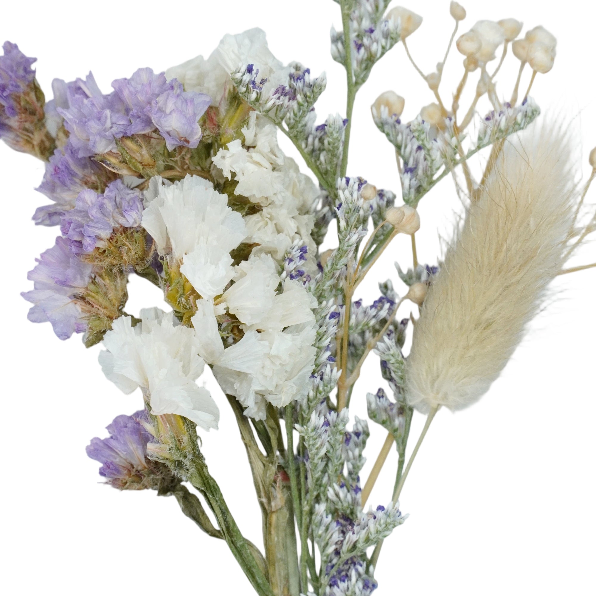 Aspen | Dried Flower Hat Band