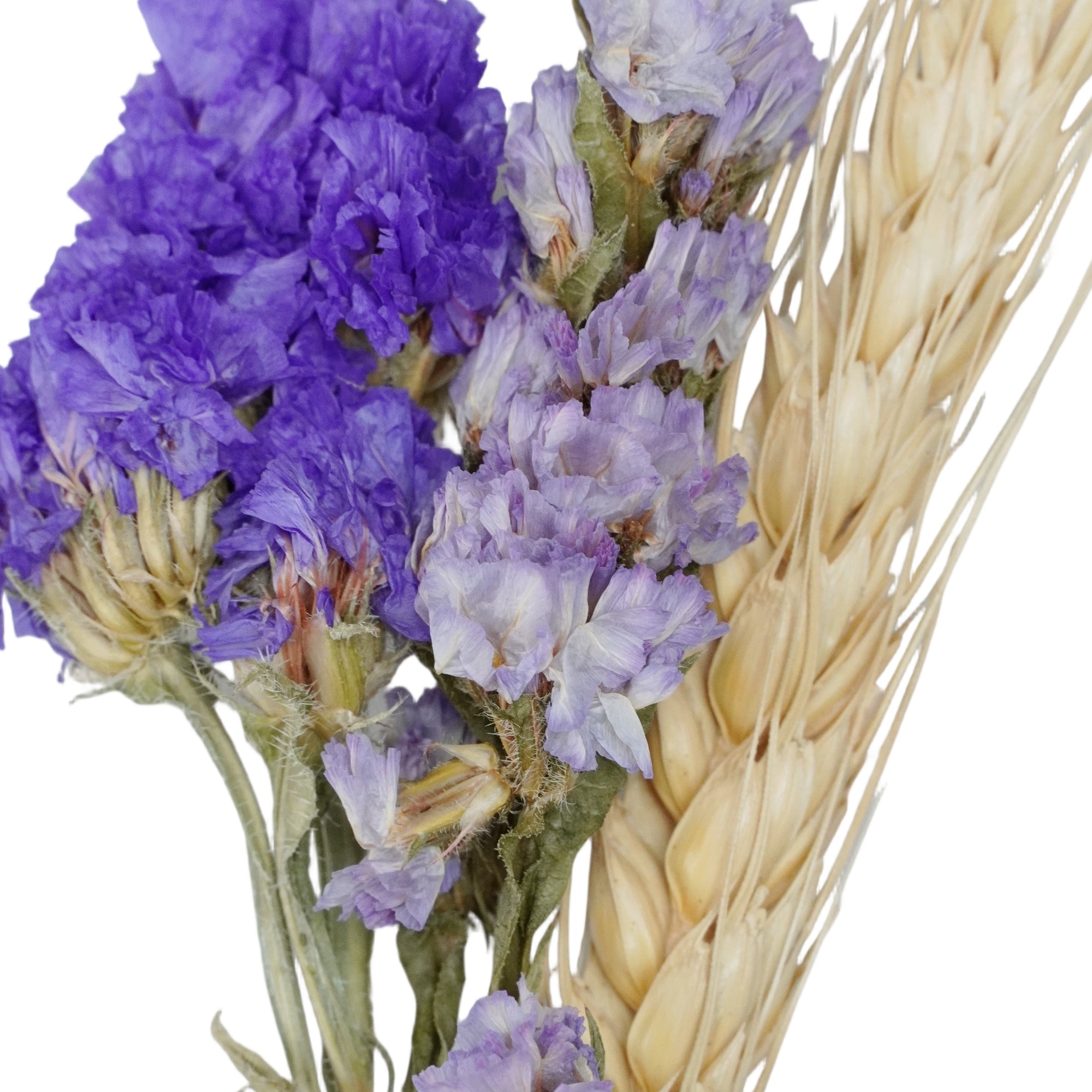 Amethyst | Dried Flower Hat Band