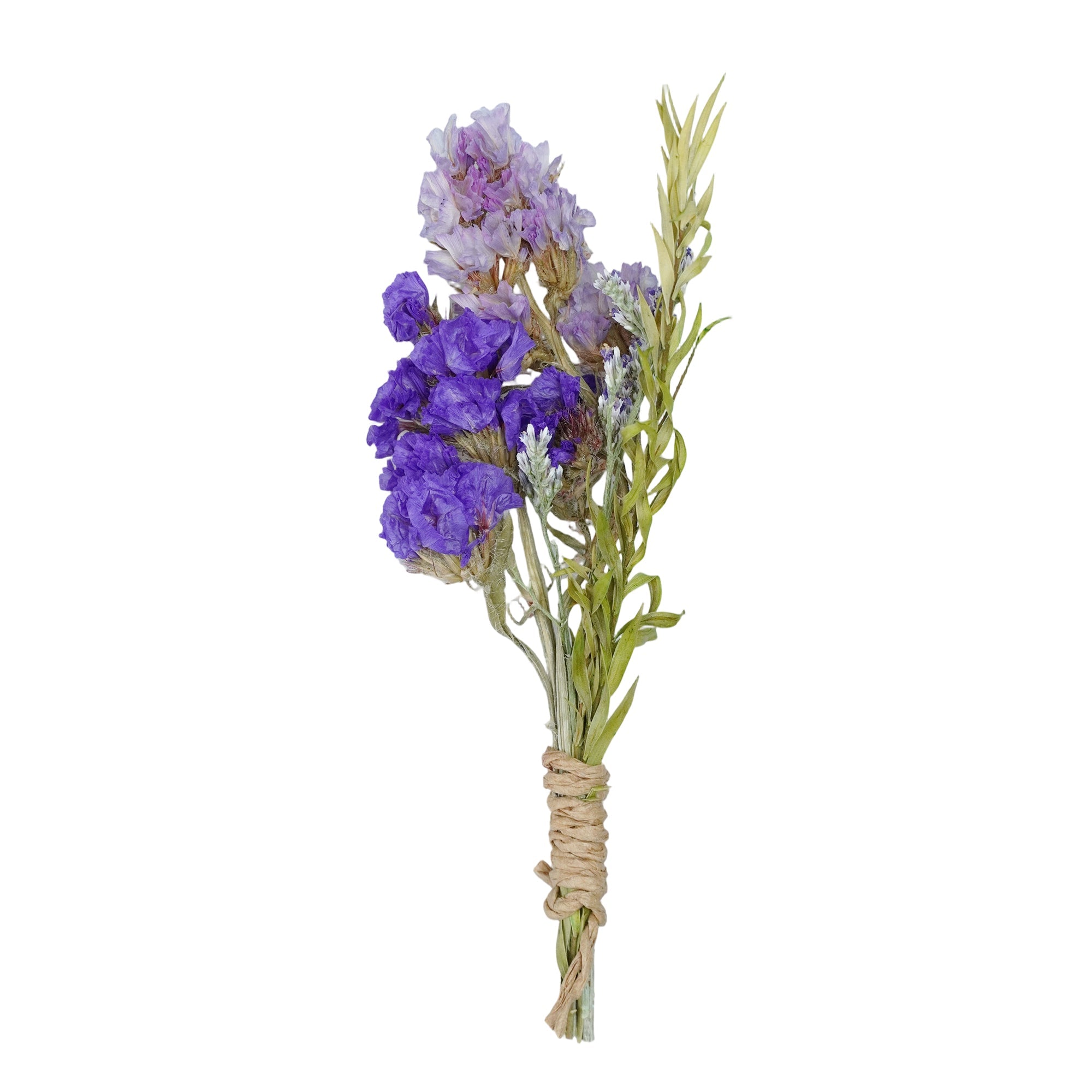 Ivy | Natural Dried Flower Band