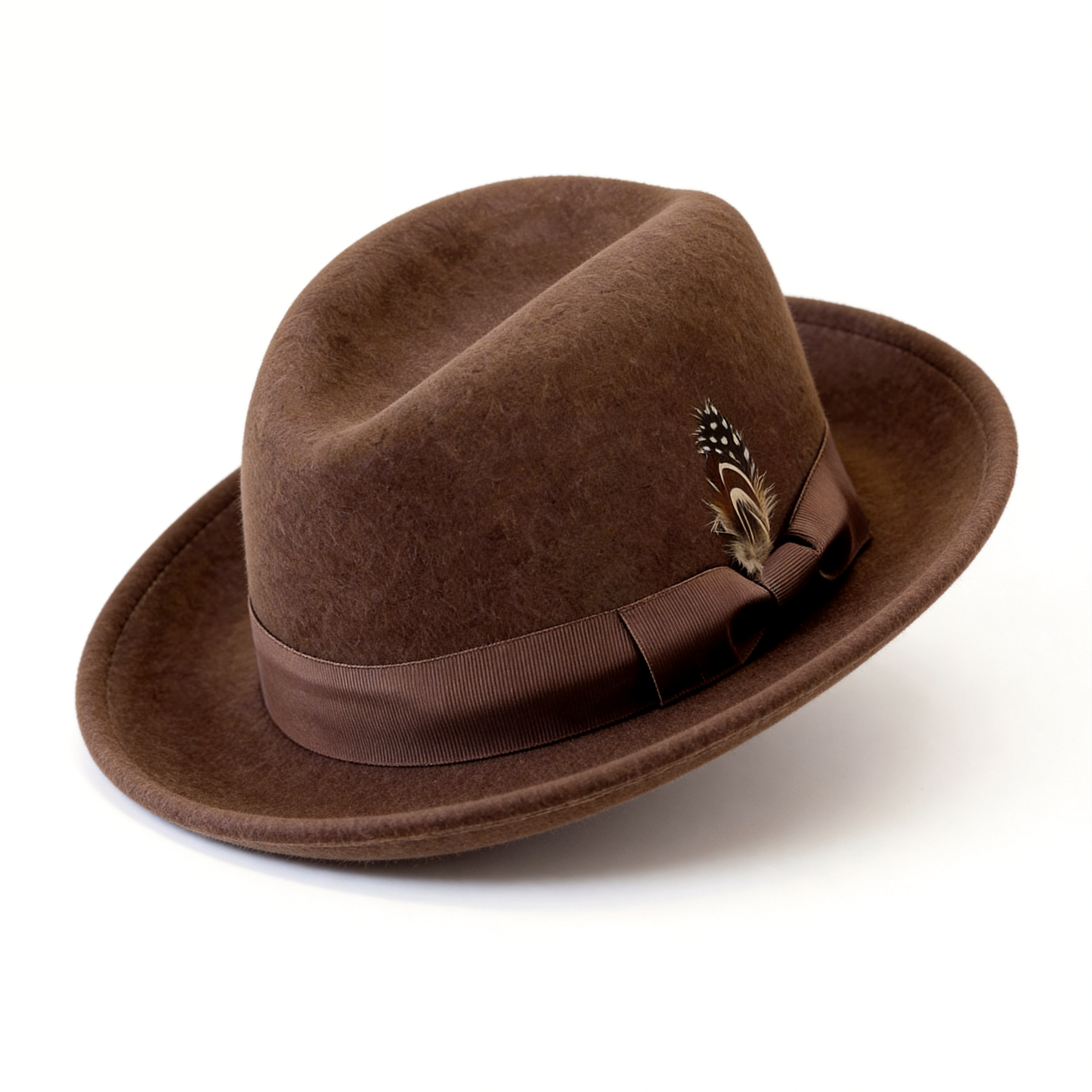 Brown Fedora – Feather & Trim Accent